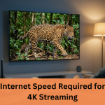 Internet Speed Required for 4K Streaming