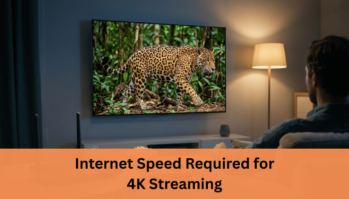 Internet Speed Required for 4K Streaming